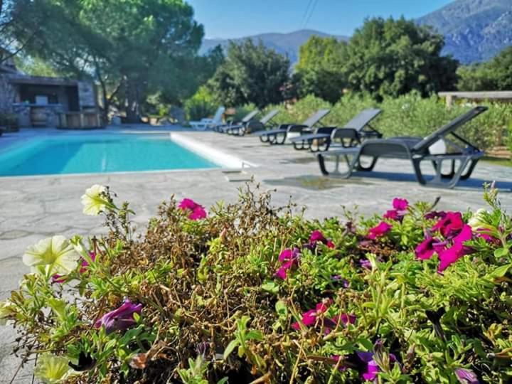 Domaine Rondini Hotel Moltifao Exterior foto